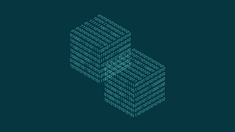 上林县信创改造:网络应用开发流程标准化的核心路径与实践